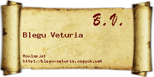 Blegu Veturia névjegykártya